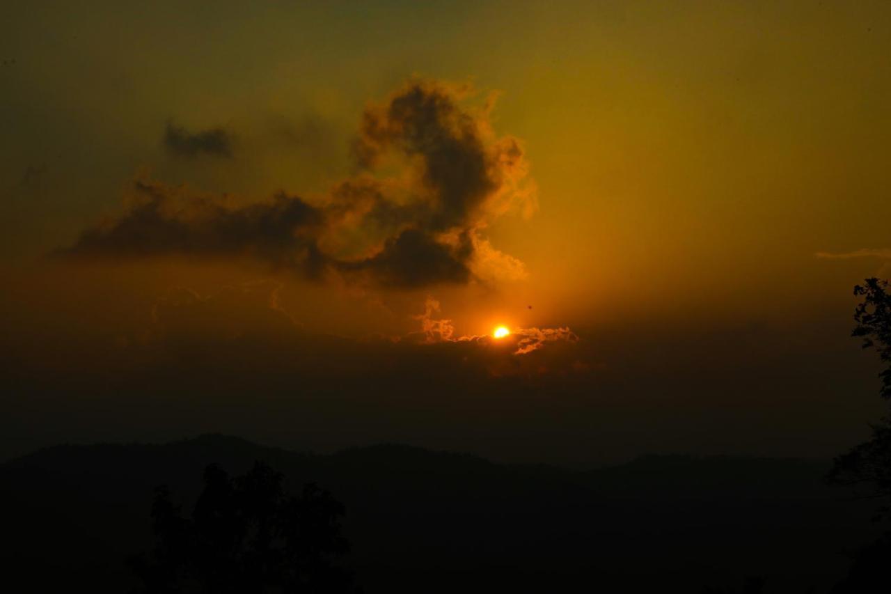 Copperhill- A Luxury Homestay Madikeri Eksteriør billede