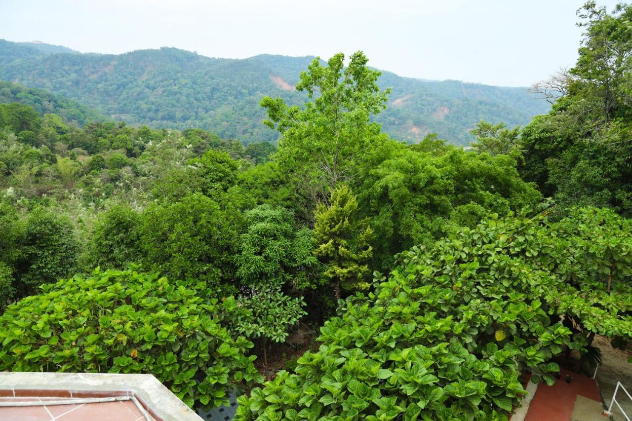 Copperhill- A Luxury Homestay Madikeri Eksteriør billede
